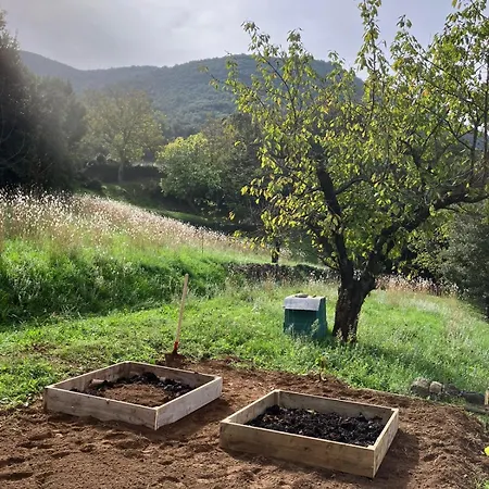 Hébergement de vacances La Grange Des Aurieges *