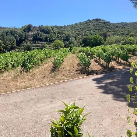 Hébergement de vacances La Grange Des Aurieges *