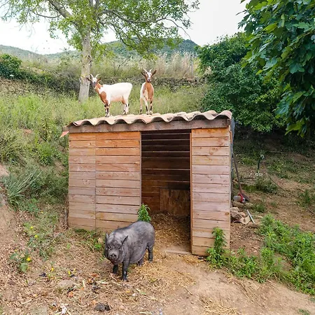 La Grange Des Aurieges Bédarieux